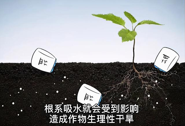 土壤EC值和pH值與作物生長的關(guān)系，利用土壤鹽分儀緩解土壤鹽漬化